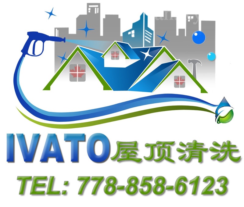 专业屋顶清洗，清理雨槽，外墙清洗，高压冲洗，低压软洗，屋顶/雨槽修补，洗屋顶，洗房子，洗外墙，洗地，外墙油漆，铲雪   778-858-6123Wilson